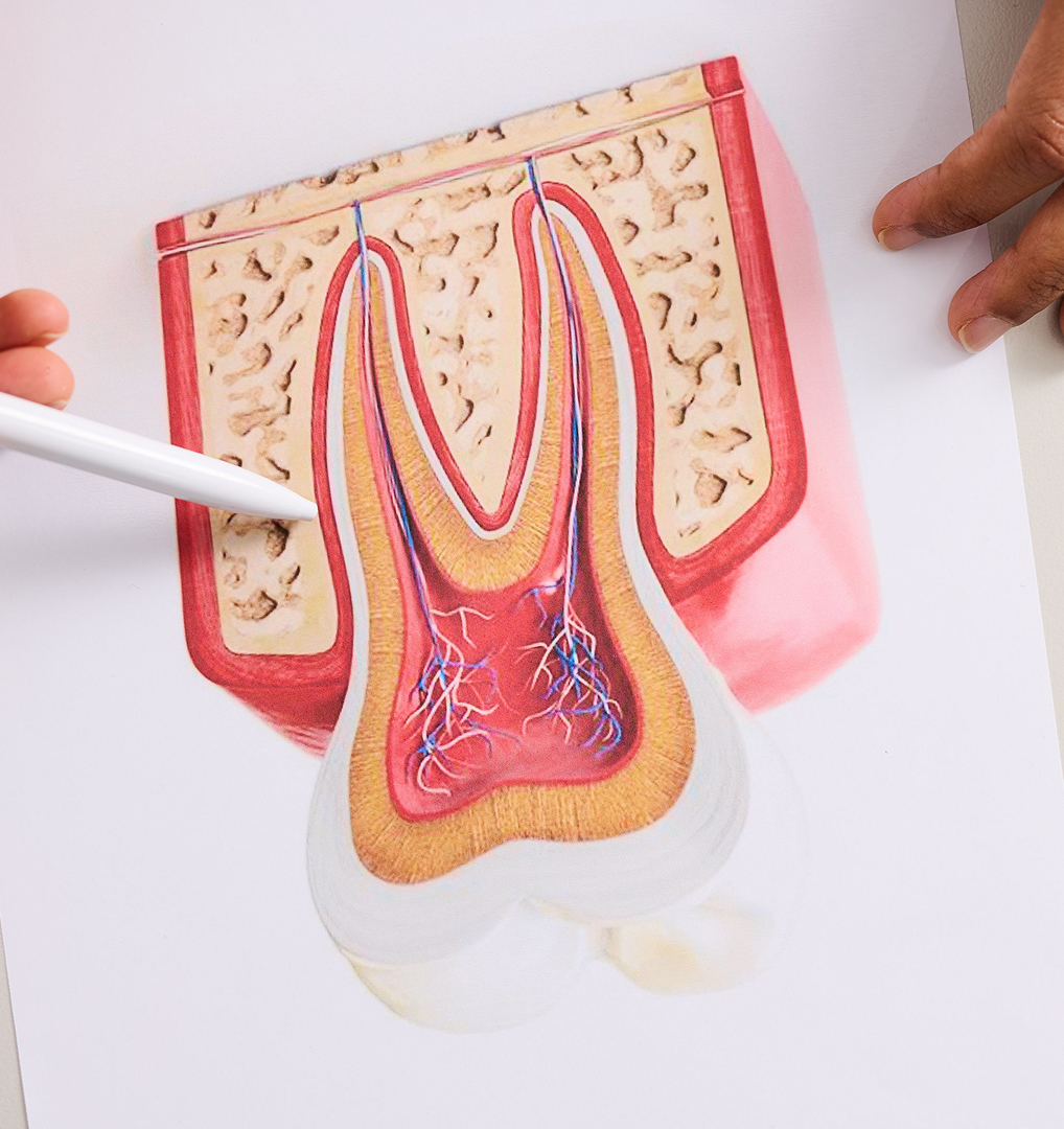 Our Commitment to a Successful Outcome